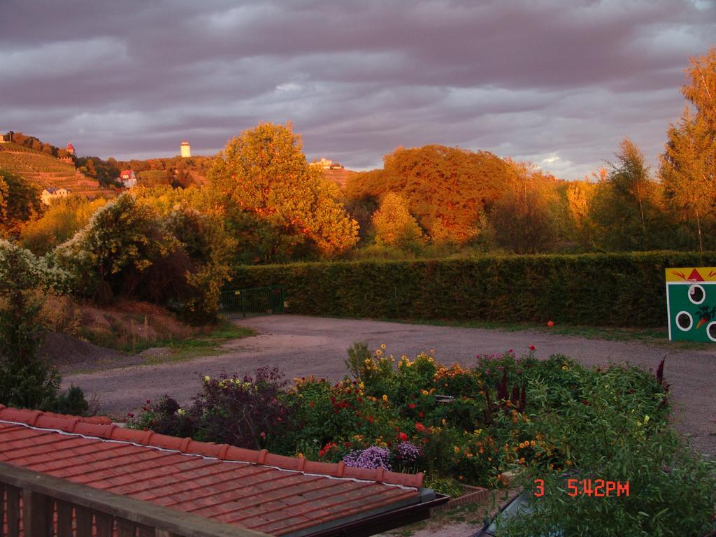 Ferienwohnung Mitko ราเดอบอยล์ ภายนอก รูปภาพ